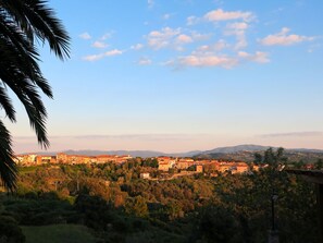 Place - Il Felciaione by Interhome (Riparbella)