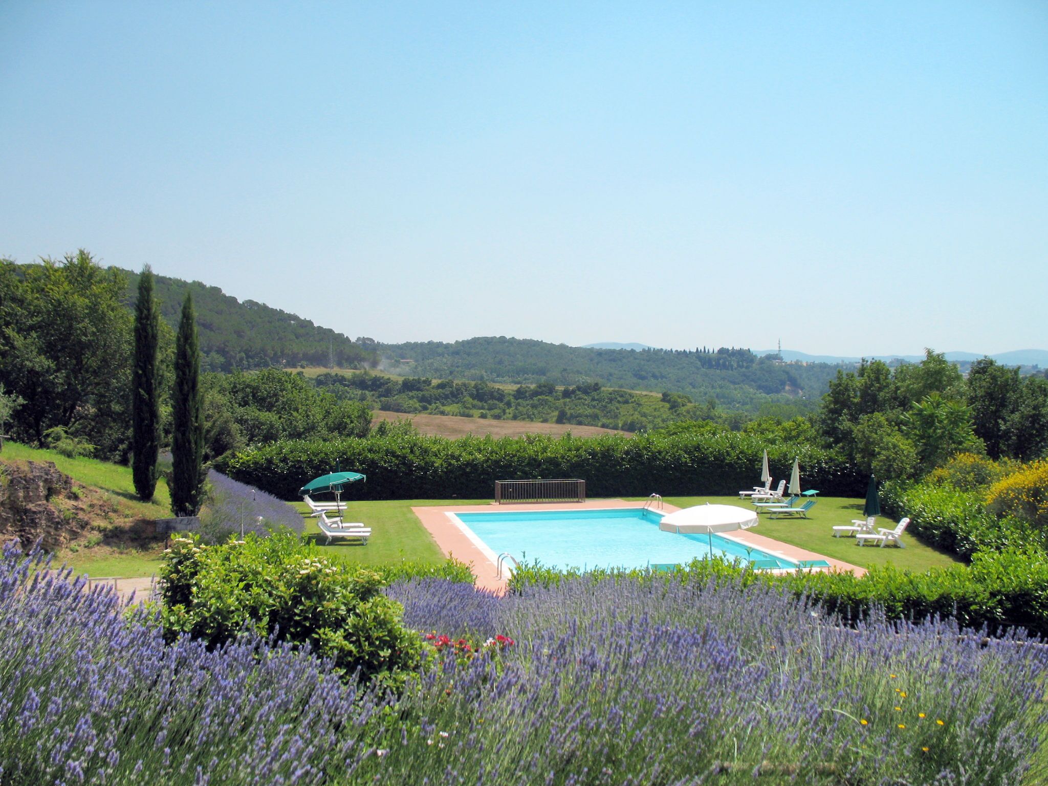 A pool with a view of a hilly landscape, surrounded by lavender fields and greenery.