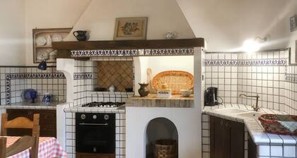 Rosa Bianca by Interhome