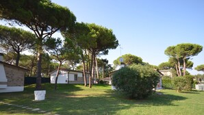 A residential area with a grassy lawn, a pathway, and several trees. - Villaggio Laura by Interhome (Lignano Riviera)