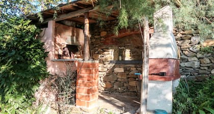 Glicine by Interhome