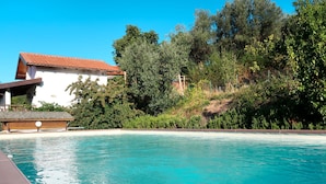 Une piscine d’un bleu éclatant, bordée d’une terrasse en bois, entourée d’une végétation luxuriante et d’un bâtiment blanc coiffé d’un toit rouge.