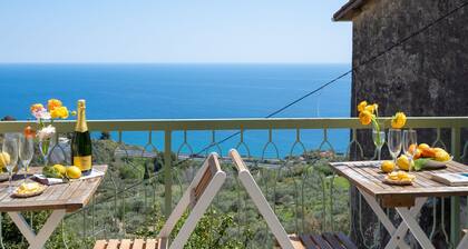 Francesca (SLR212) by Interhome