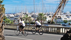 Un puerto deportivo con numerosas embarcaciones amarradas, una carretera con ciclistas y palmeras.