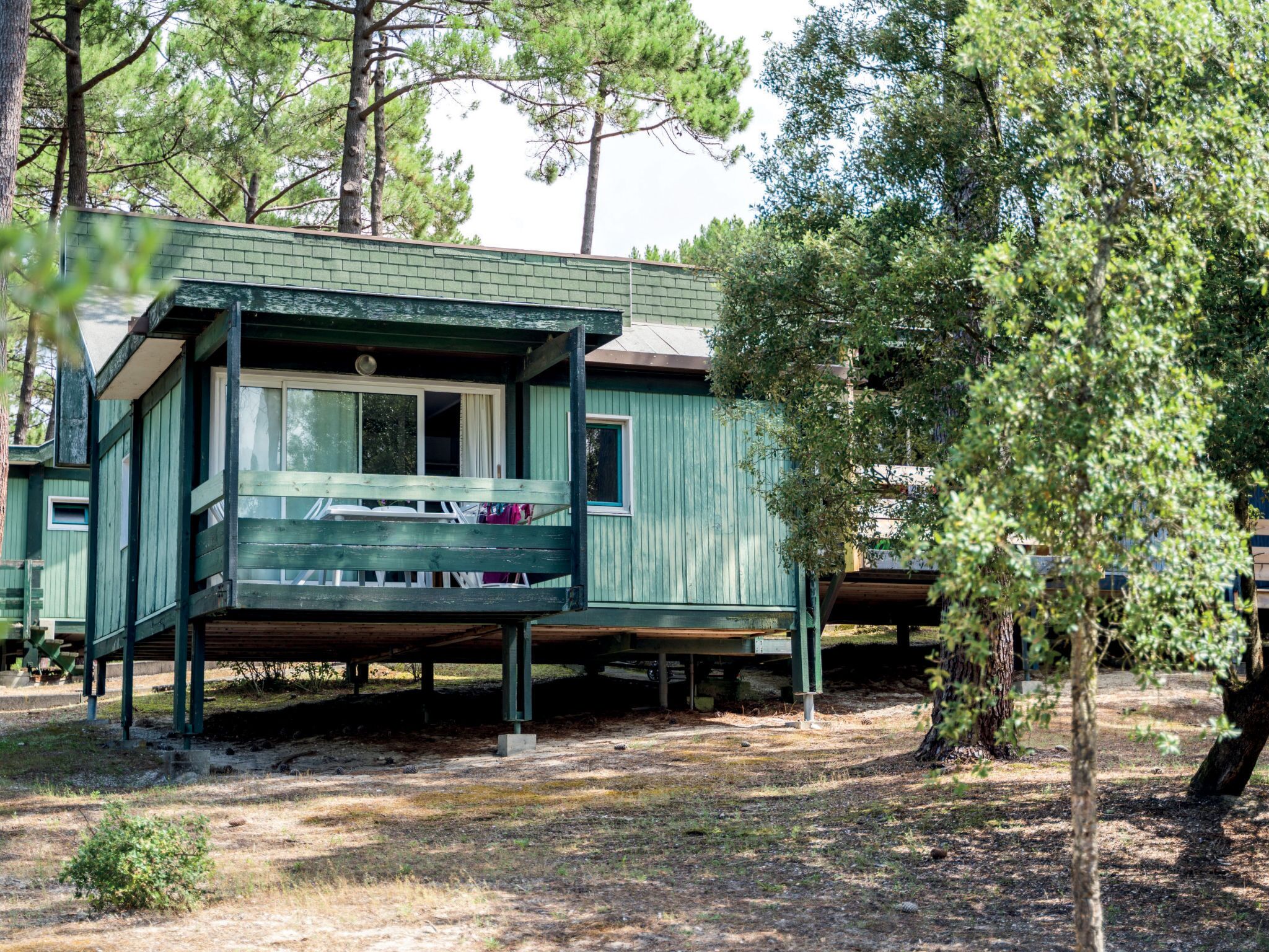 A cabin with a porch and a window, surrounded by trees.