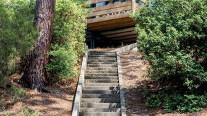 A staircase leading to a wooden deck with a house in the background.