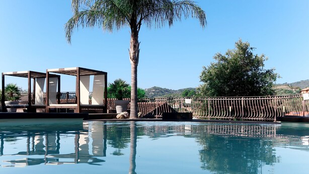 A swimming pool with a palm tree and a pergola structure. - Villa Monterosso (IMP420) by Interhome (Imperia)