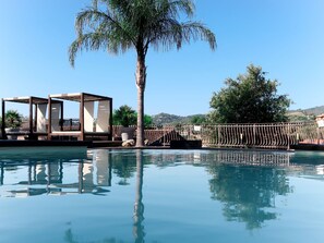 Piscina com palmeira e estrutura de pérgola.