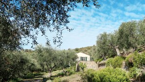 A rustic stone house with a white facade and green shutters, surrounded by olive trees and shrubs, set in a hilly landscape. - Il Terebinto (IMP427) by Interhome (Imperia)