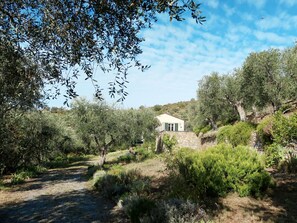 Property grounds - Il Terebinto (IMP427) by Interhome (Imperia)