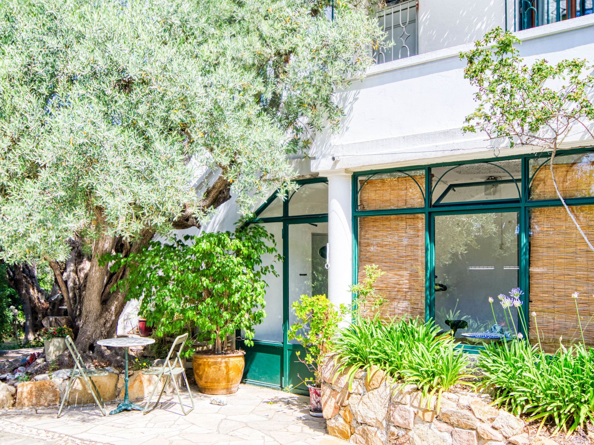 A patio with a table and chairs, a large tree, and a potted plant.