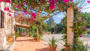 Een binnenplaats met een pergola bedekt met roze bougainvillea, plantenpotten en een stenen muur.