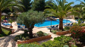 Un espace piscine avec des chaises longues et des palmiers.