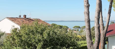 A coastal view with a house, trees, and a clear sky.