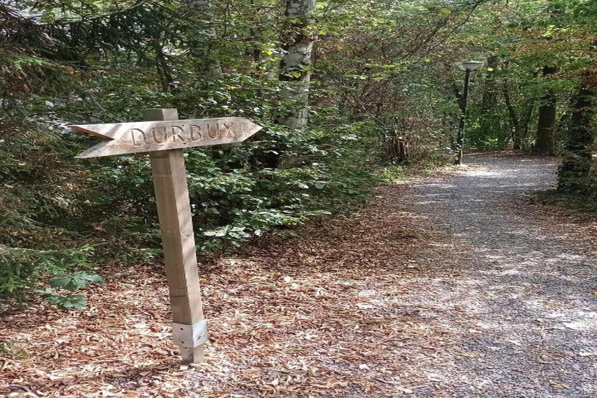 Een houten bord met richtingaanwijzingen in een bebost gebied, met een grindpad.