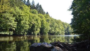 Ein Fluss, umgeben von dichtem Wald.