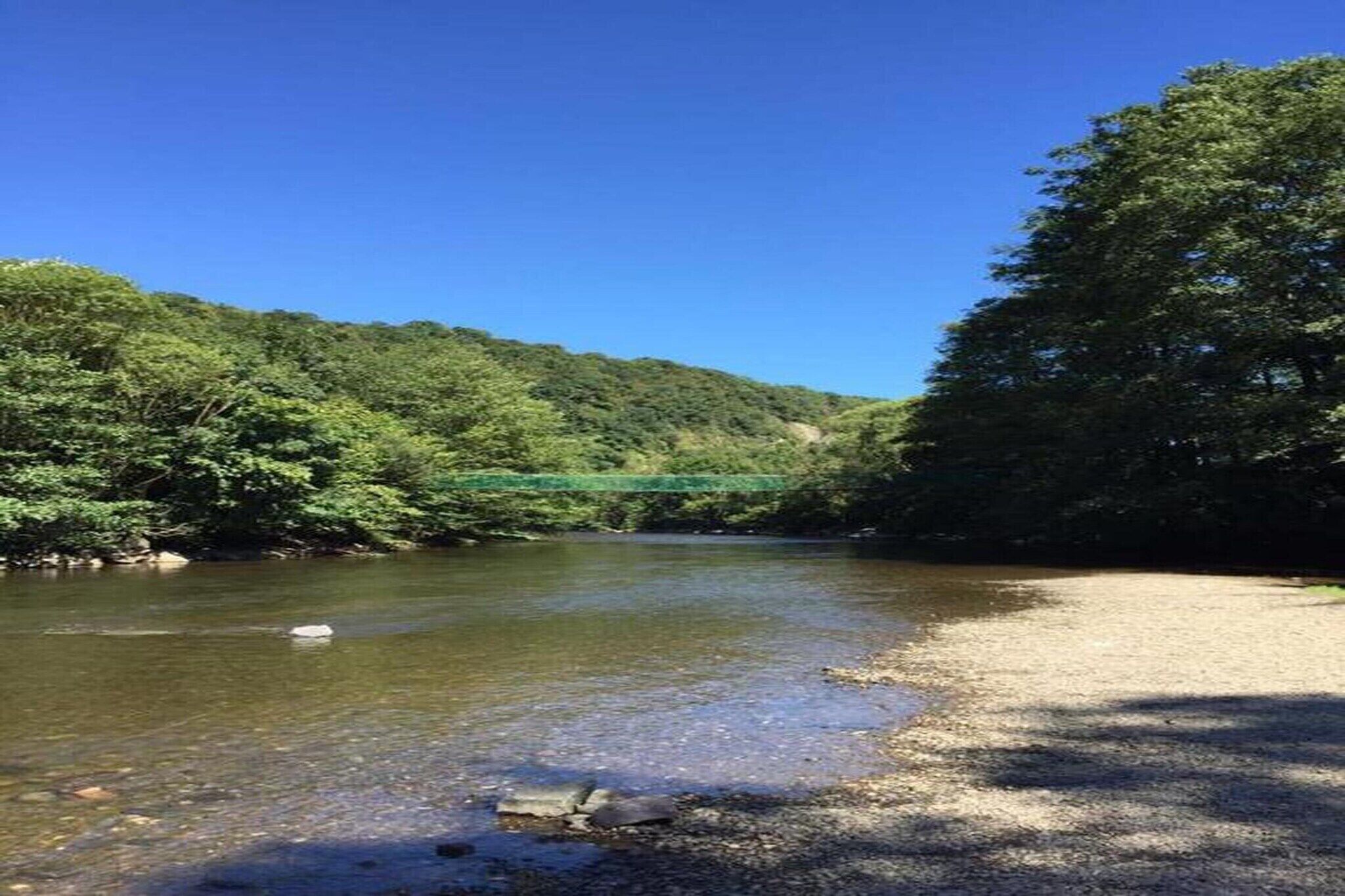 A river with a bridge, surrounded by dense forest.