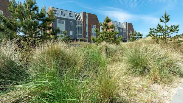 Een modern gebouw met een schuin dak en grote ramen, omgeven door hoge grassen en dennenbomen.