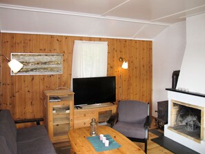 Télévision, cheminée, lecteur de DVD
