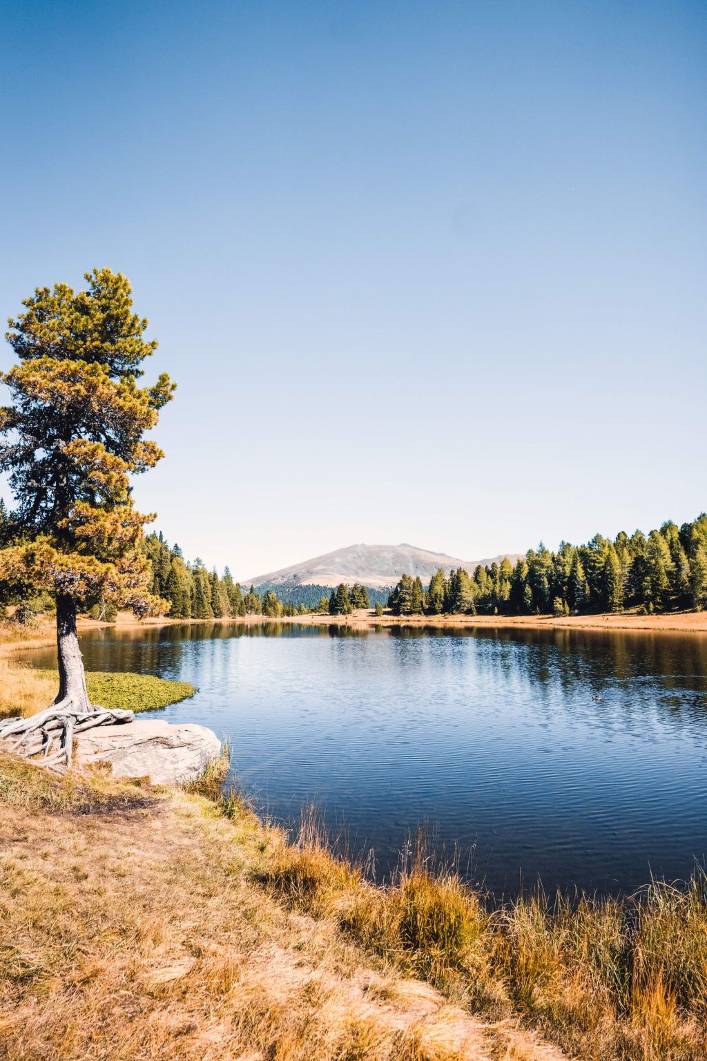 Un lac paisible aux eaux claires, sous un ciel dégagé, entouré d’arbres et avec une montagne en arrière-plan.