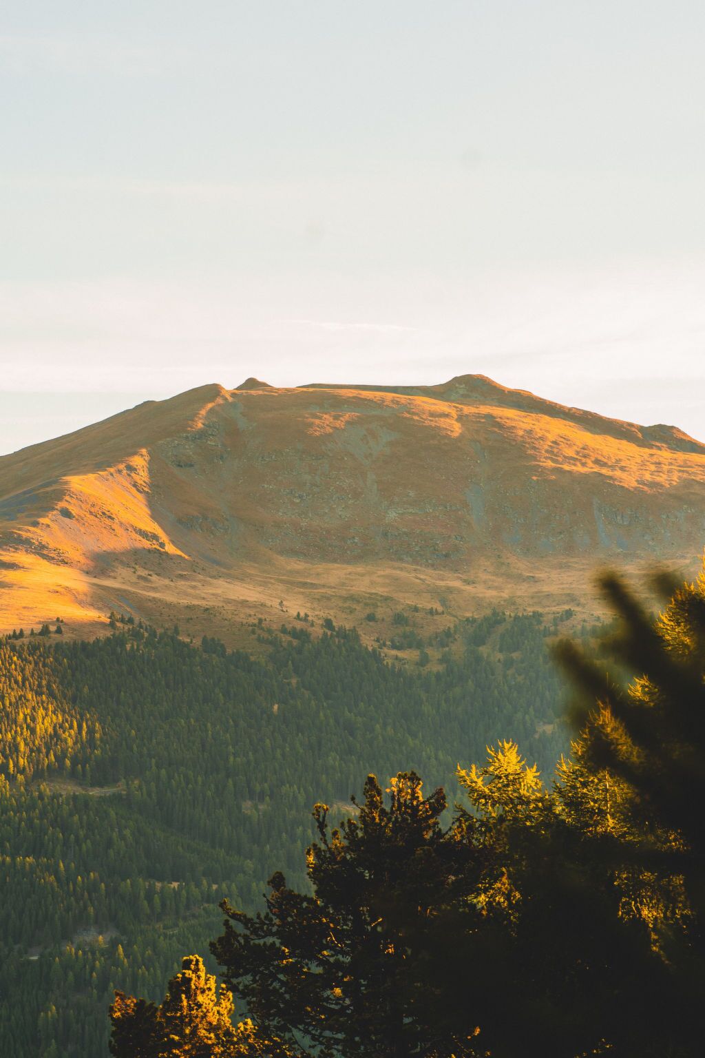Un paysage de montagne avec une vallée boisée.
