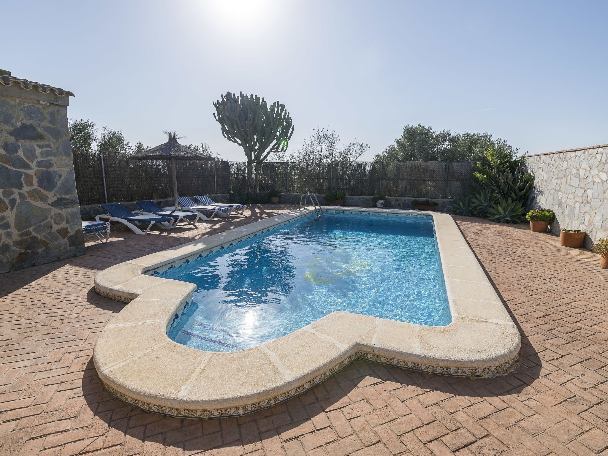 A rectangular swimming pool with a tiled edge, surrounded by a brick patio. There are lounge chairs and a thatched-roof structure in the background.