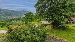 Ein üppiger Garten mit verschiedenen Pflanzen und Blumen, einer hölzernen Pergola und einem Steinweg.