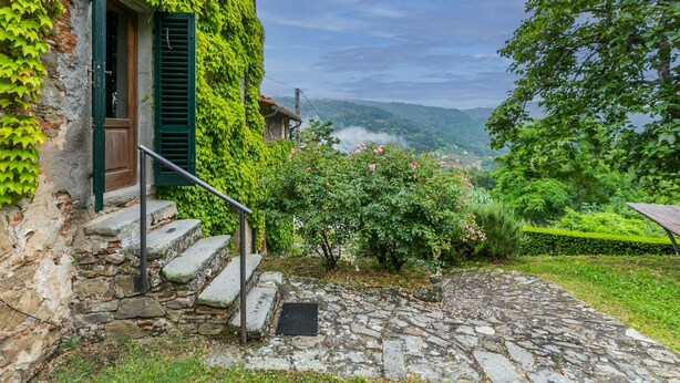 Eine Steintreppe führt zu einer Holztür mit grünen Fensterläden, umgeben von üppiger Bepflanzung und einem Steinweg.