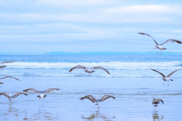Beach nearby