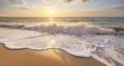 Chalet auf Texel nahe Strand und Wald