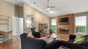 Smart TV, fireplace, books