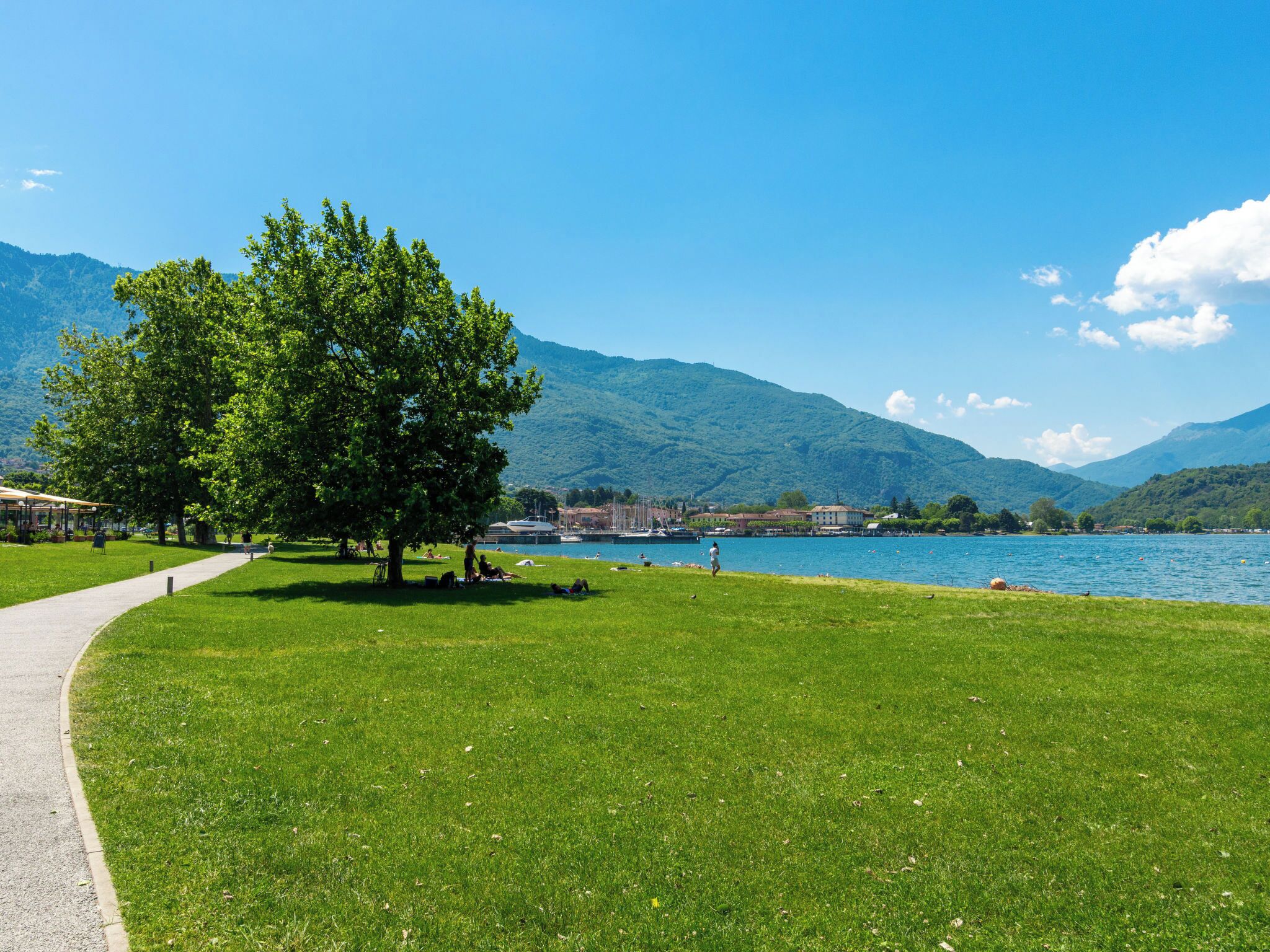 A grassy park with a tree, a path, and a lake with mountains in the background.