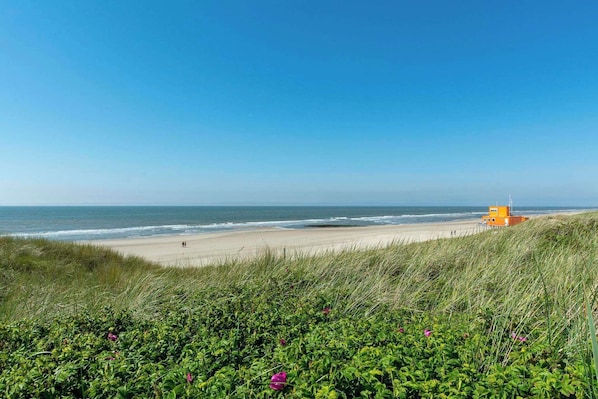 Una spiaggia nelle vicinanze