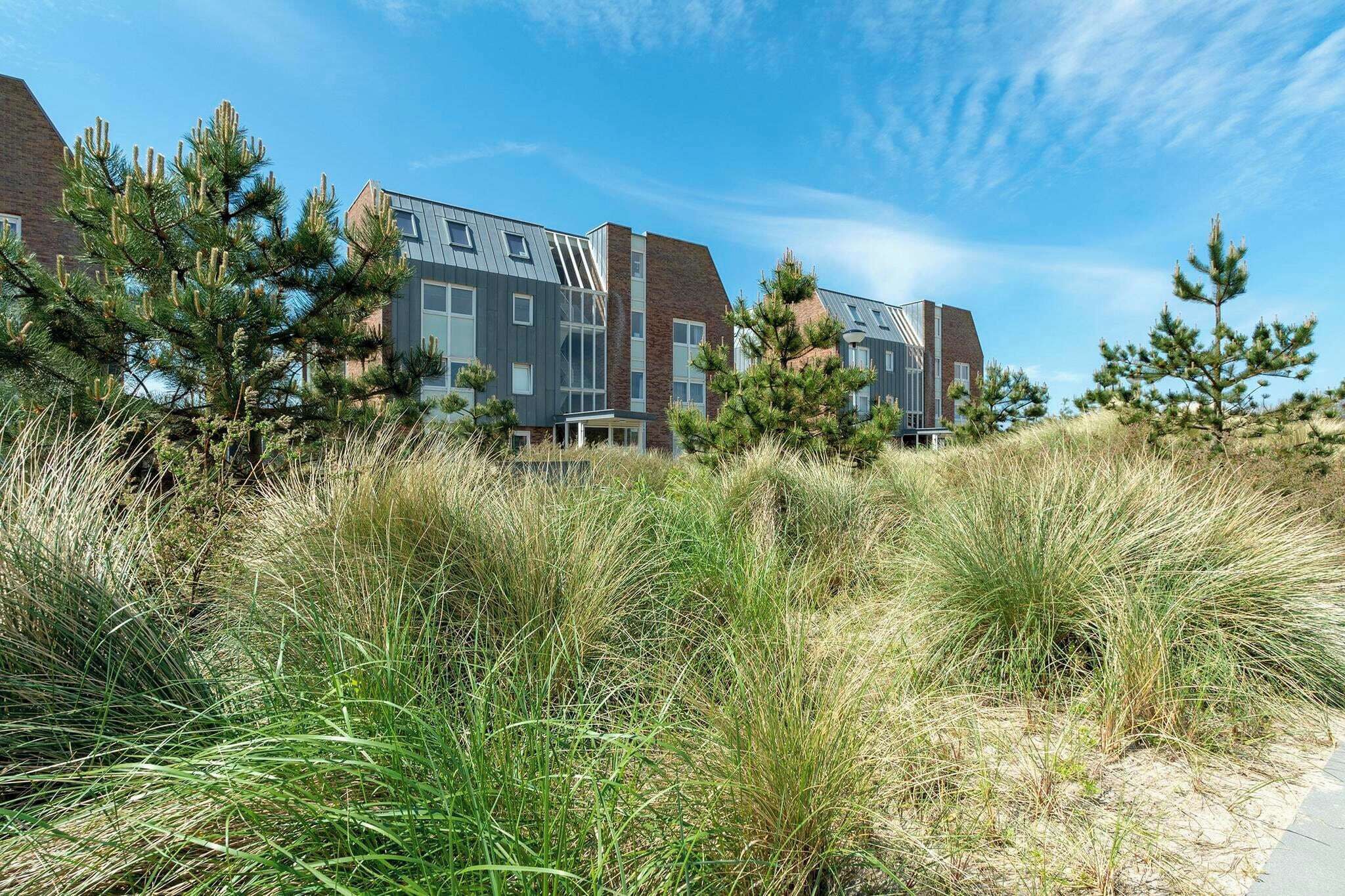 A modern building with a flat roof and large windows, surrounded by tall grasses and pine trees.