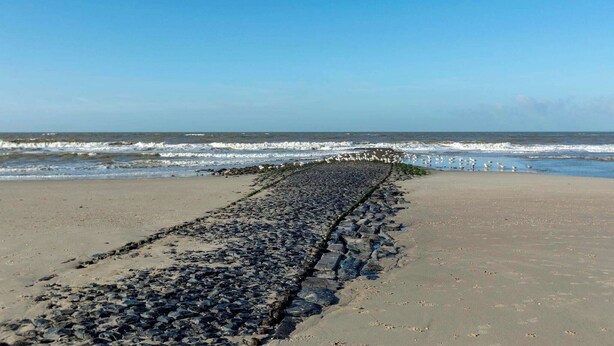 A beach with a rocky breakwater leading to the sea. - Apartment in Bergen near Sandy Beach (Callantsoog)