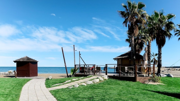 A beachside property with a paved walkway leading to a wooden deck area, a small hut, and a palm tree.