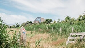 Une maison rustique, dotée d’un toit en pente et d’une grande fenêtre, entourée d’herbes hautes et d’une clôture en bois.