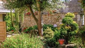 Un jardin agrémenté de diverses plantes et fleurs, un mur de pierre et une porte en bois.
