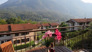 Un balcon donnant sur un paysage montagneux, une chaise en bois et un vase rempli de fleurs roses.