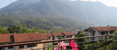 A balcony with a view of a mountainous landscape, a wooden chair, and a vase with pink flowers.