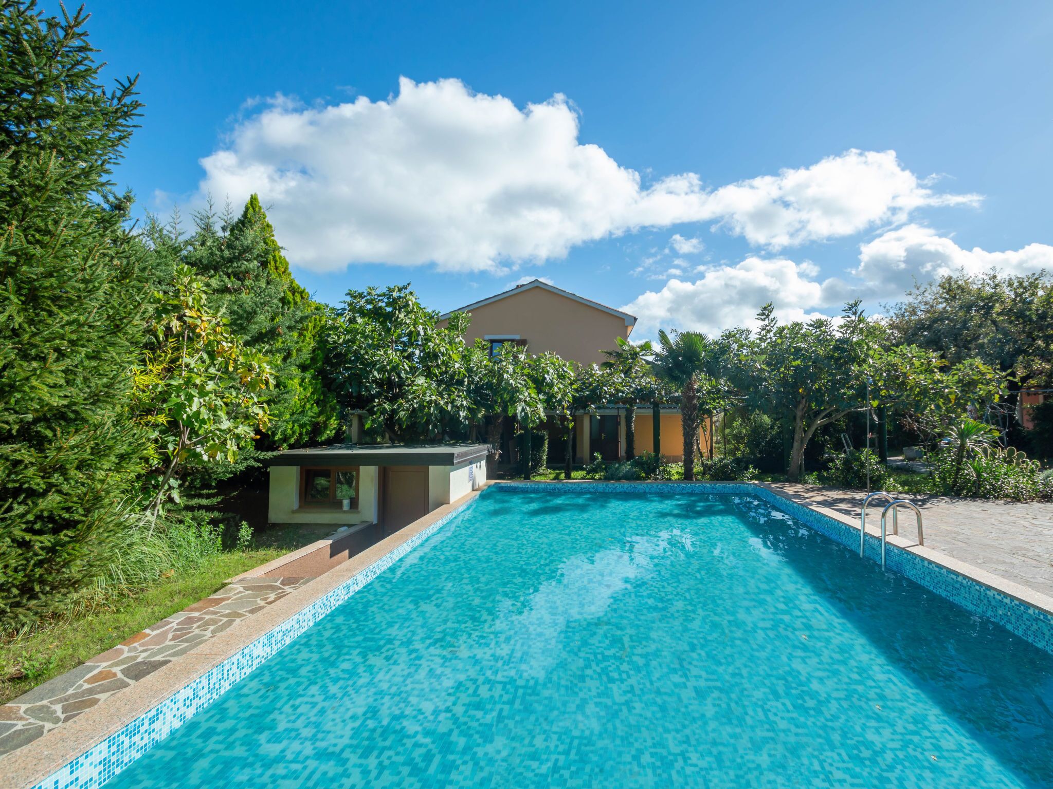 A swimming pool with a tiled edge, surrounded by lush greenery and a building in the background.