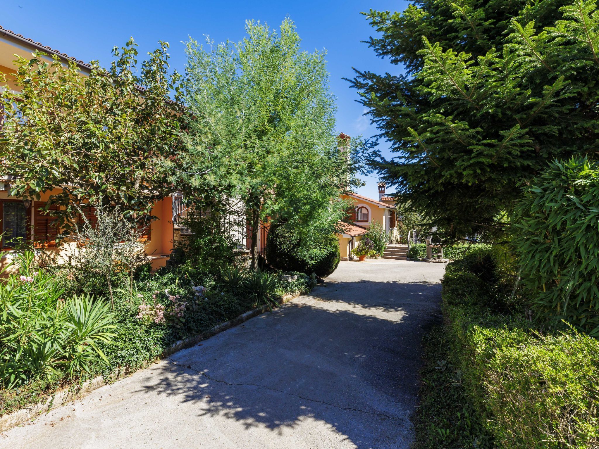 A residential street with houses on either side, a clear sky, and lush greenery.