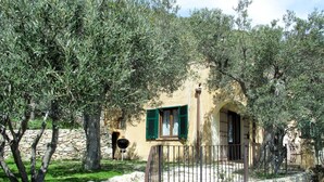A stone-walled building with a green shuttered window, surrounded by olive trees and a stone pathway. - Francesca (VGO210) by Interhome (Varigotti)