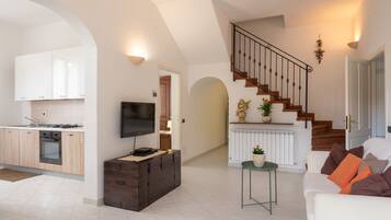 TV, fireplace, DVD player