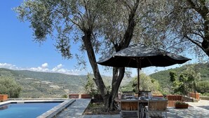 A poolside area with a stone patio, outdoor furniture, and a view of the countryside. - Il Rifugio (BCM110) by Interhome (Boscomare)