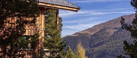 4 camere, accesso a Internet