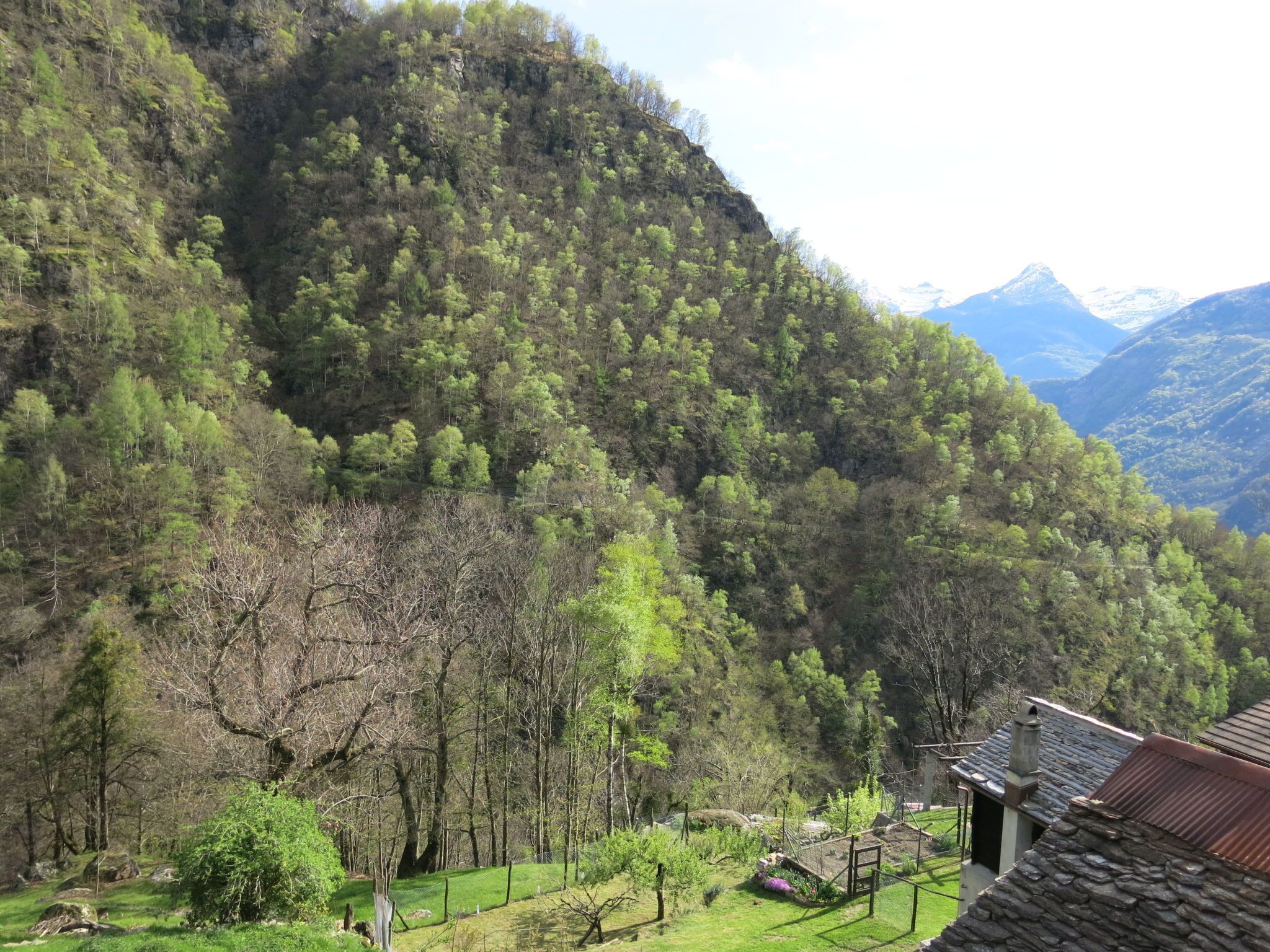 Un paisaje montañoso con una casa de techo tradicional con tejas, rodeada de exuberante vegetación y árboles.
