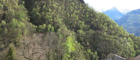 Un paisaje montañoso con una casa de techo tradicional con tejas, rodeada de exuberante vegetación y árboles.