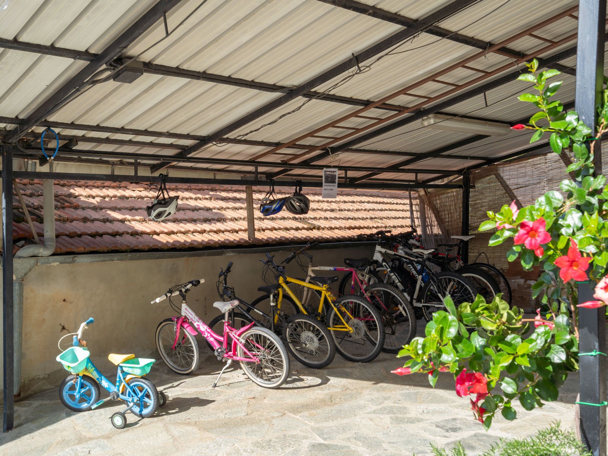 Een overdekte fietsenstallingsplaats met verschillende fietsen, waaronder kinderfietsen, en een kleine tuin met rode bloemen.