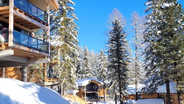 Un edificio de varios pisos con amplias ventanas, rodeado de árboles cubiertos de nieve.